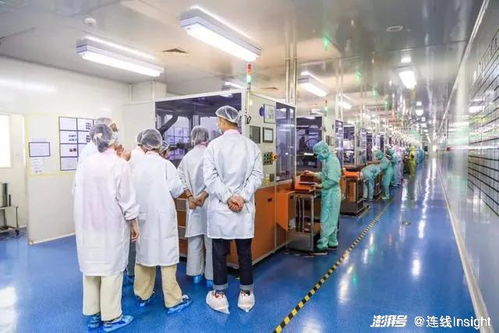 業(yè)績向好，股價卻下跌 新消費‘第一股’們怎么了？